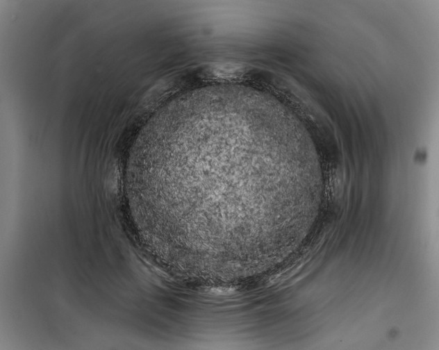 X0000100200651200805301311