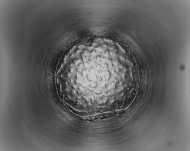 X0000100200653200805301311