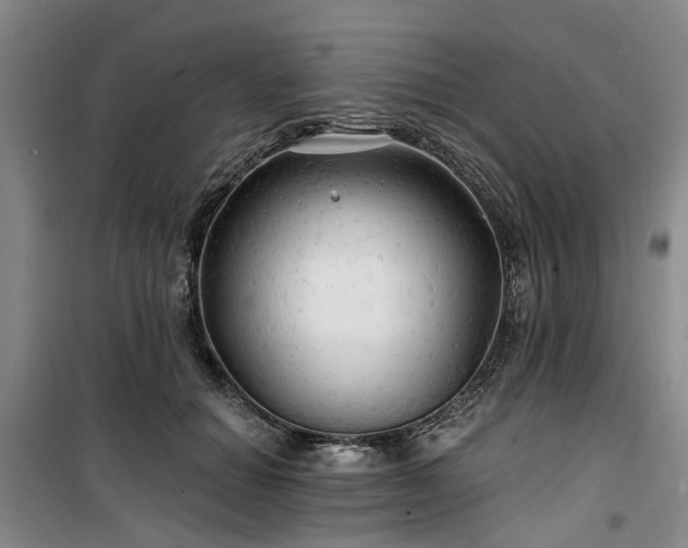 X0000100200654200805301311