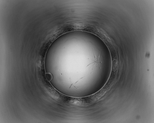 X0000100200655200805301311