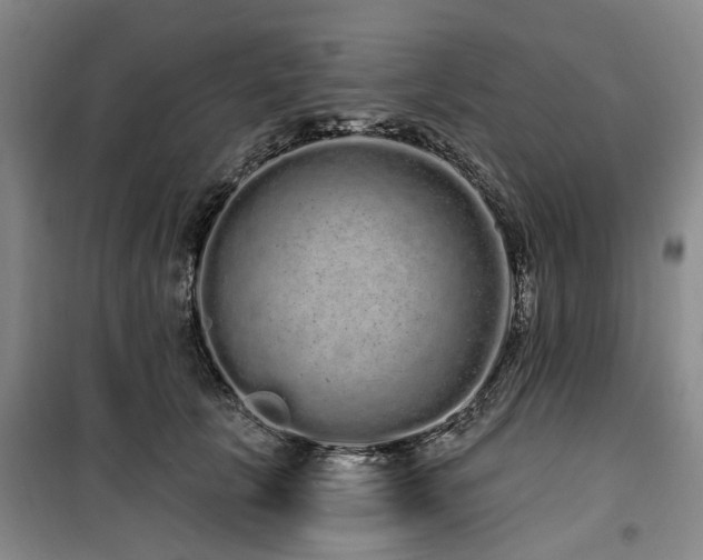 X0000100200657200805301311