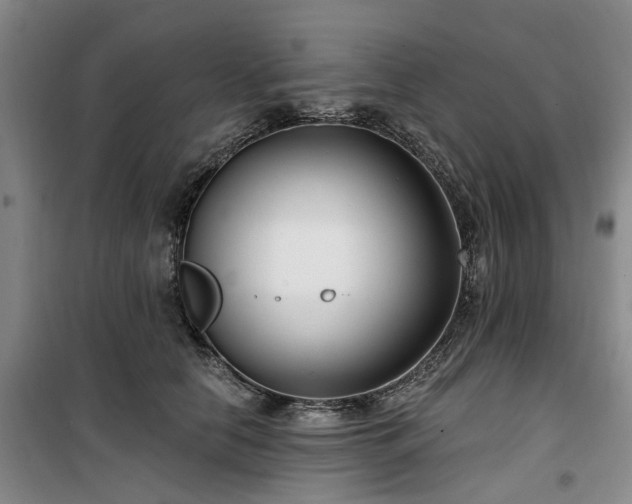 X0000100200658200805301311