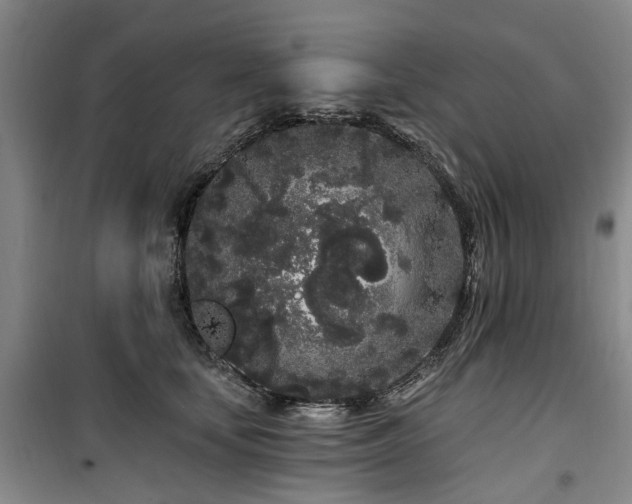 X0000100200659200805301311