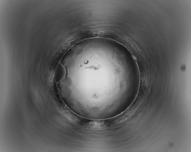 X0000100200660200805301311