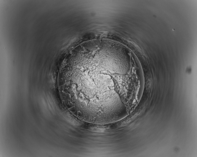 X0000100200661200805301311