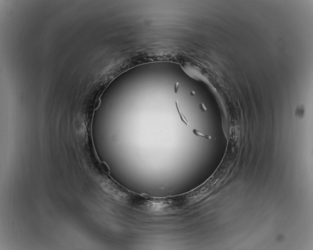 X0000100200662200805301311