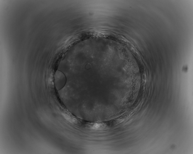 X0000100200663200805301311