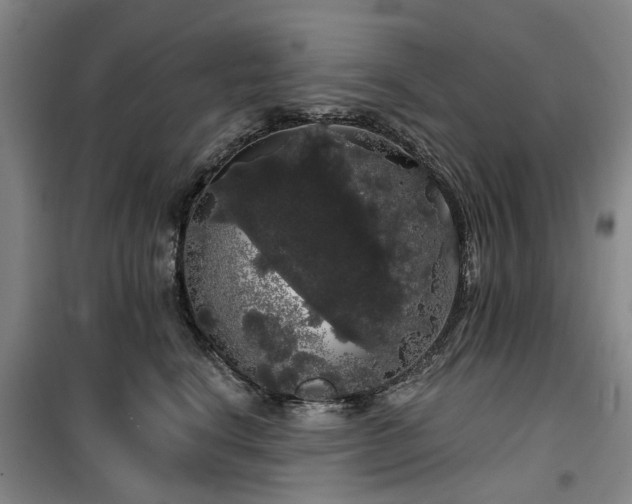 X0000100200664200805301311