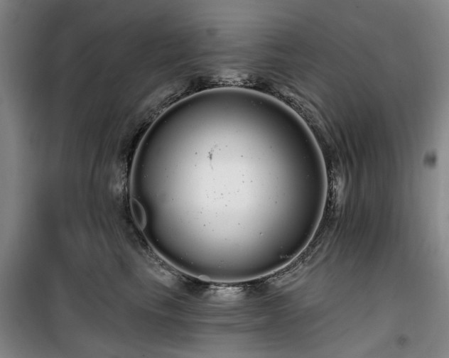 X0000100200665200805301311