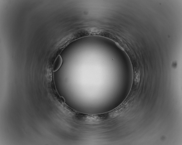 X0000100200666200805301311