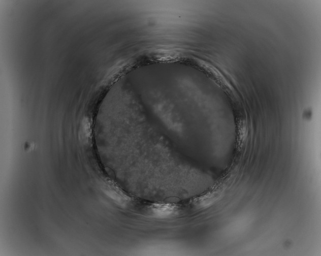 X0000100200667200805301311