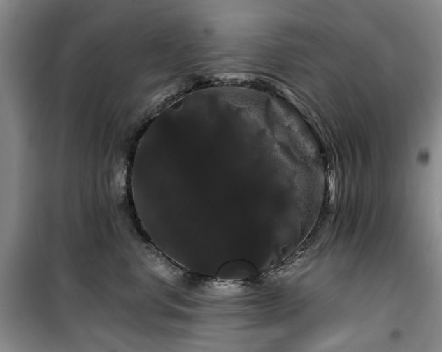 X0000100200668200805301311