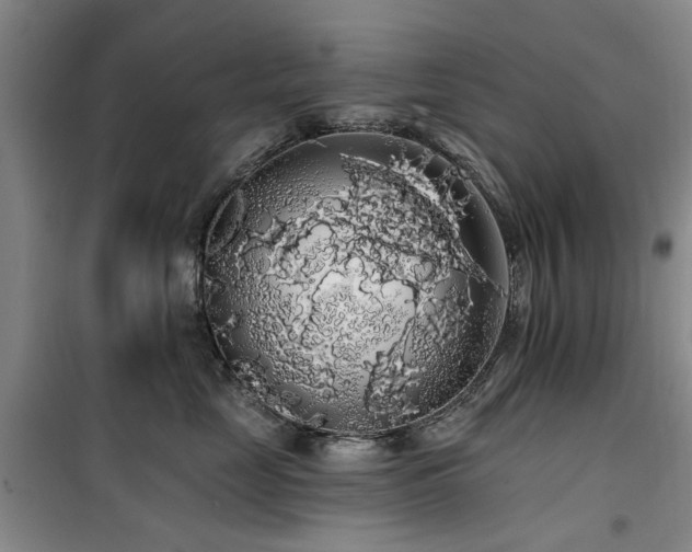 X0000100200669200805301311