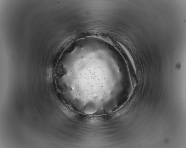 X0000100200670200805301311