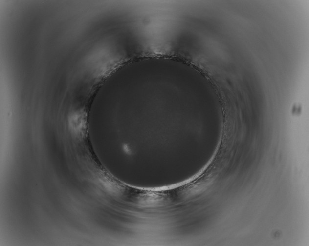 X0000100200672200805301311