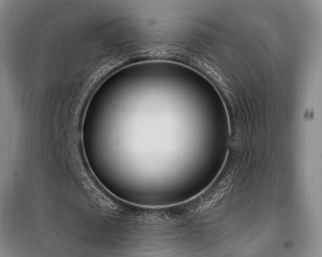 X0000100200673200805301311