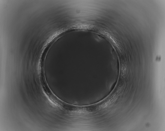 X0000100200674200805301311