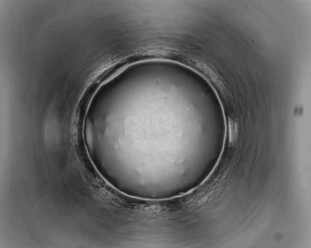 X0000100200675200805301311