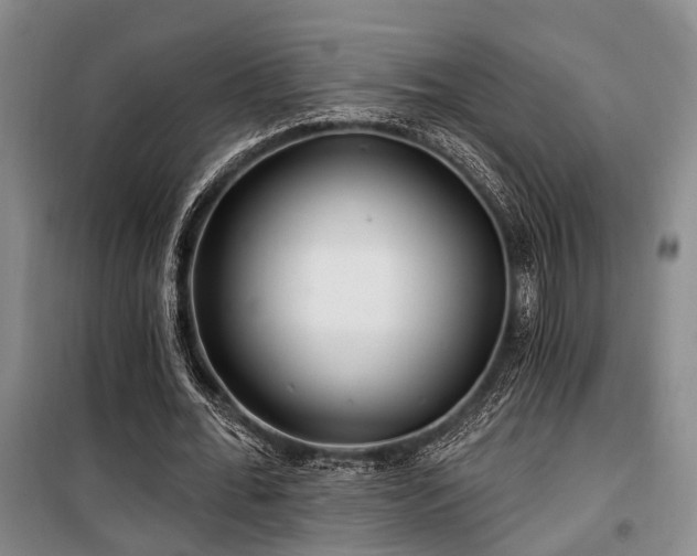 X0000100200676200805301311