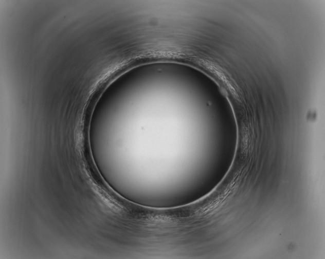 X0000100200677200805301310