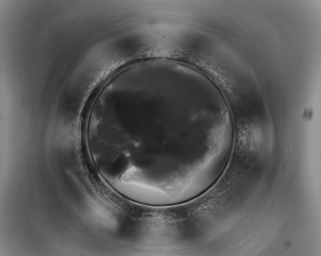 X0000100200678200805301310