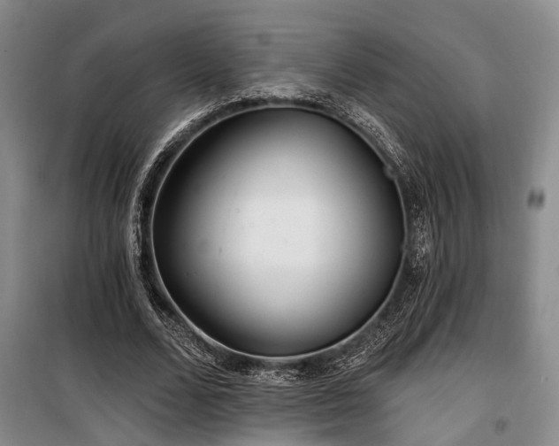 X0000100200680200805301310