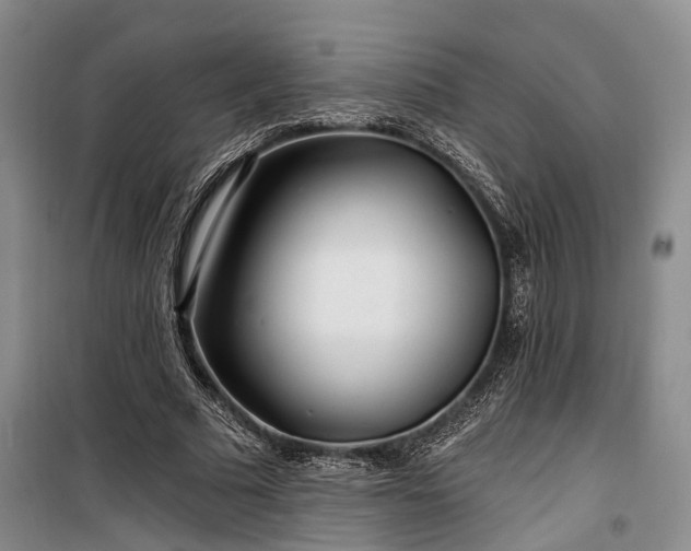 X0000100200681200805301310