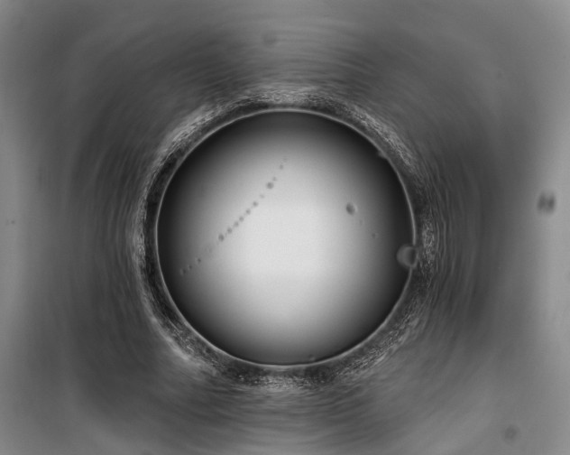 X0000100200682200805301310