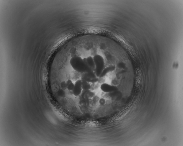 X0000100200683200805301310