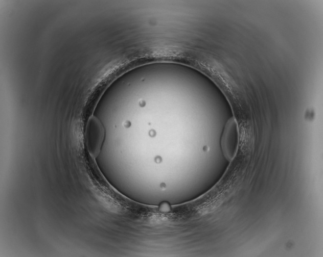 X0000100200684200805301310