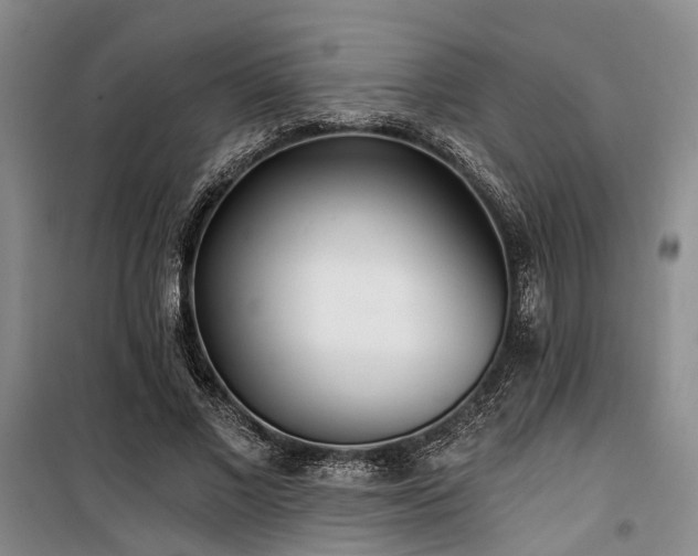 X0000100200685200805301310