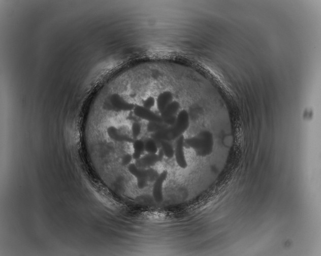 X0000100200687200805301310