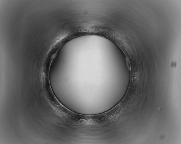 X0000100200688200805301310