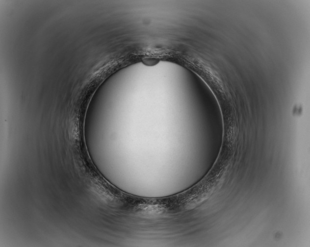 X0000100200689200805301310