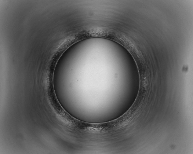 X0000100200690200805301310