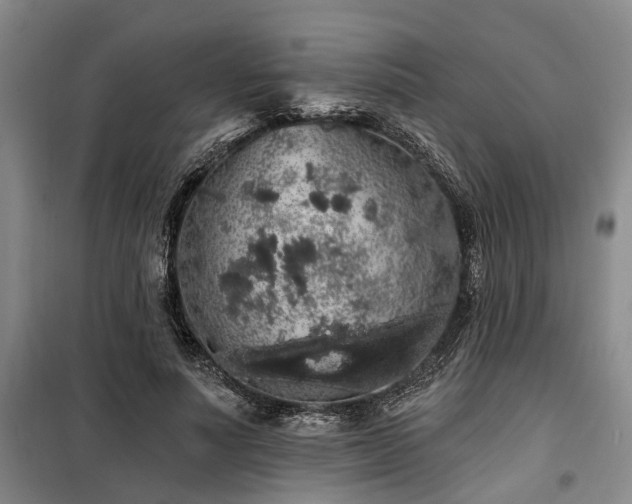 X0000100200691200805301310