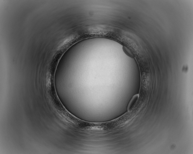 X0000100200692200805301310