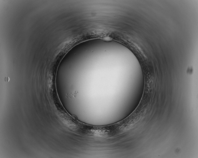 X0000100200693200805301310