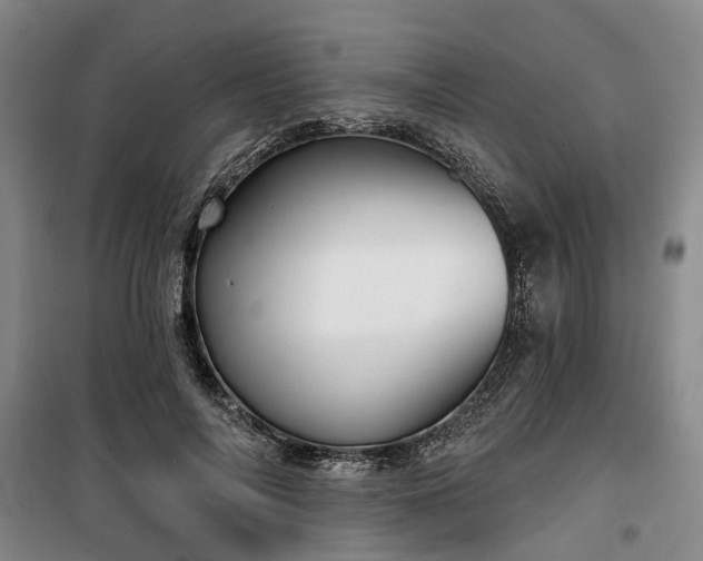 X0000100200694200805301310