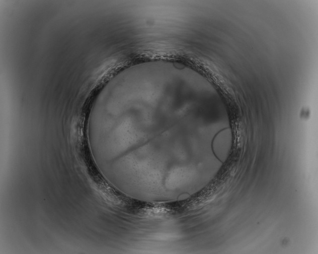 X0000100200695200805301310