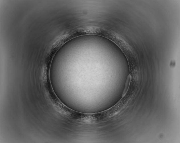 X0000100200696200805301310