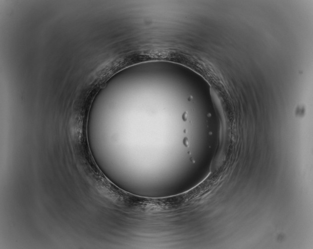 X0000100200697200805301310