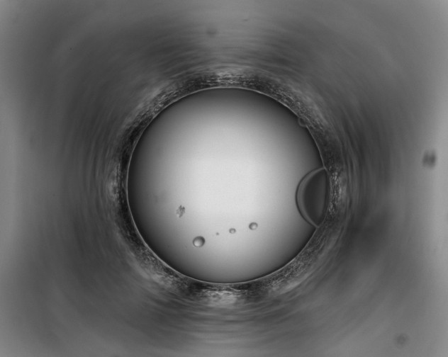 X0000100200698200805301310