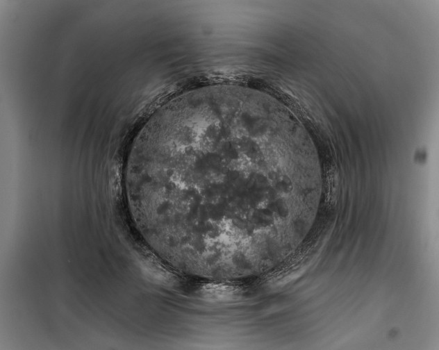 X0000100200699200805301310