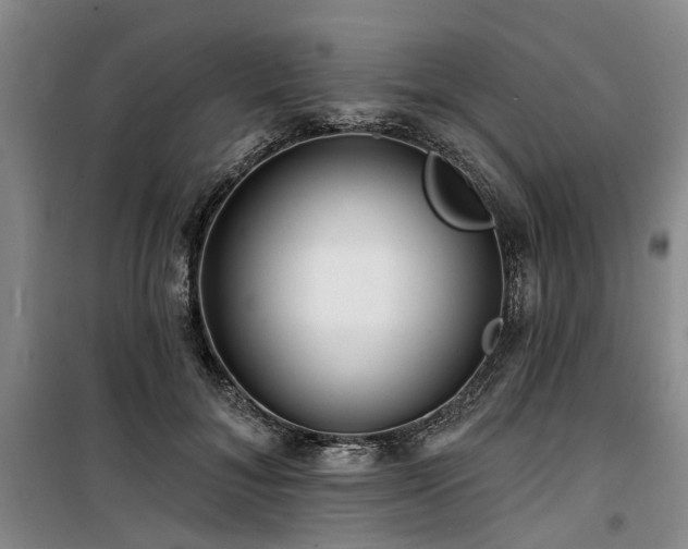 X0000100200700200805301310