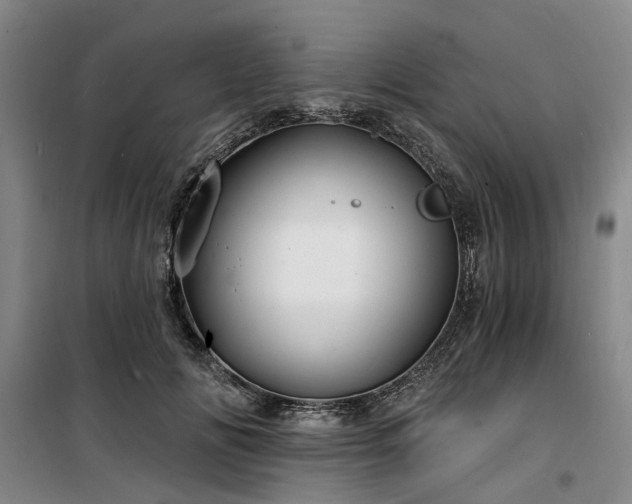 X0000100200702200805301310