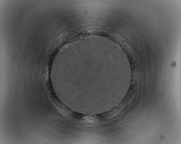 X0000100200703200805301310