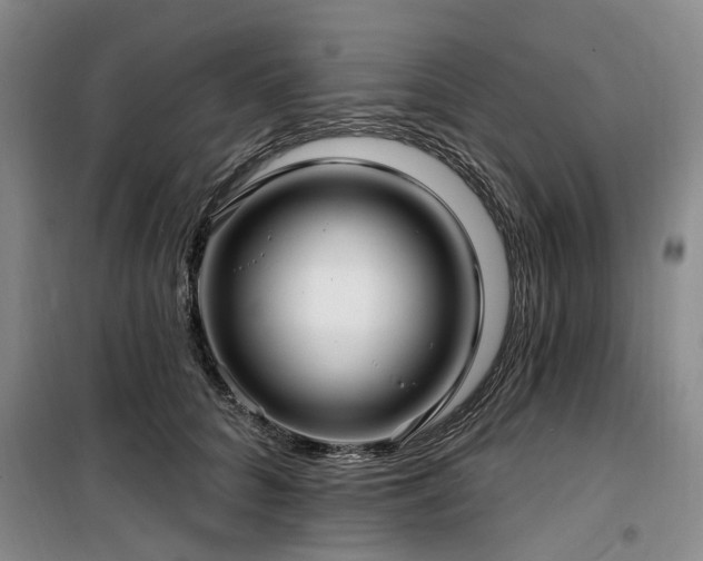 X0000100200704200805301310