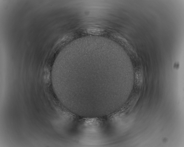 X0000100200705200805301310