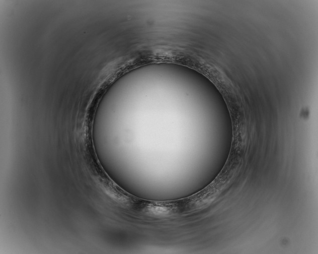 X0000100200706200805301310